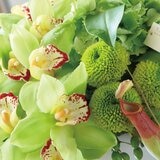 台北花苑 翡翠藝境