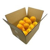 美國甜橙 5公斤/19-22入