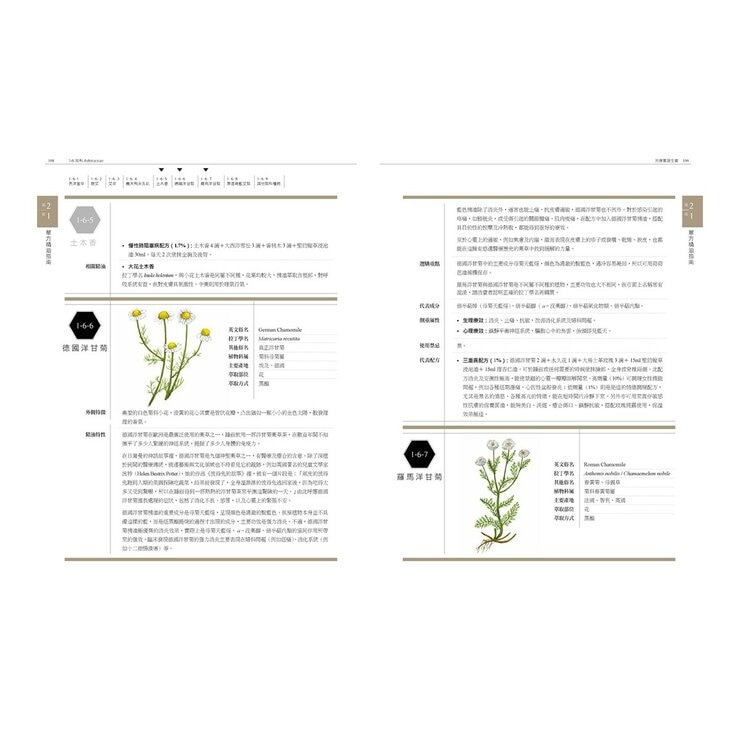 芳療實證全書：從分子到精油、從科學到身心靈，成為專業芳療師的必備聖經【暢銷10週年紀念版】