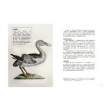 鳥類傳說：從羽翼到寓意，鳥的神話、象徵、生態奧祕與人類千年想像
