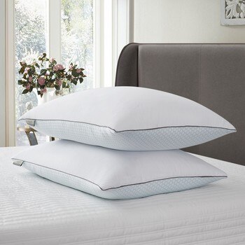 Elle 冬夏兩用羽毛枕2入 50 x 71 公分 Elle 冬夏兩用羽毛枕2入 50 x 71 公分