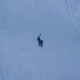 Polo Ralph Lauren 男長袖襯衫 藍