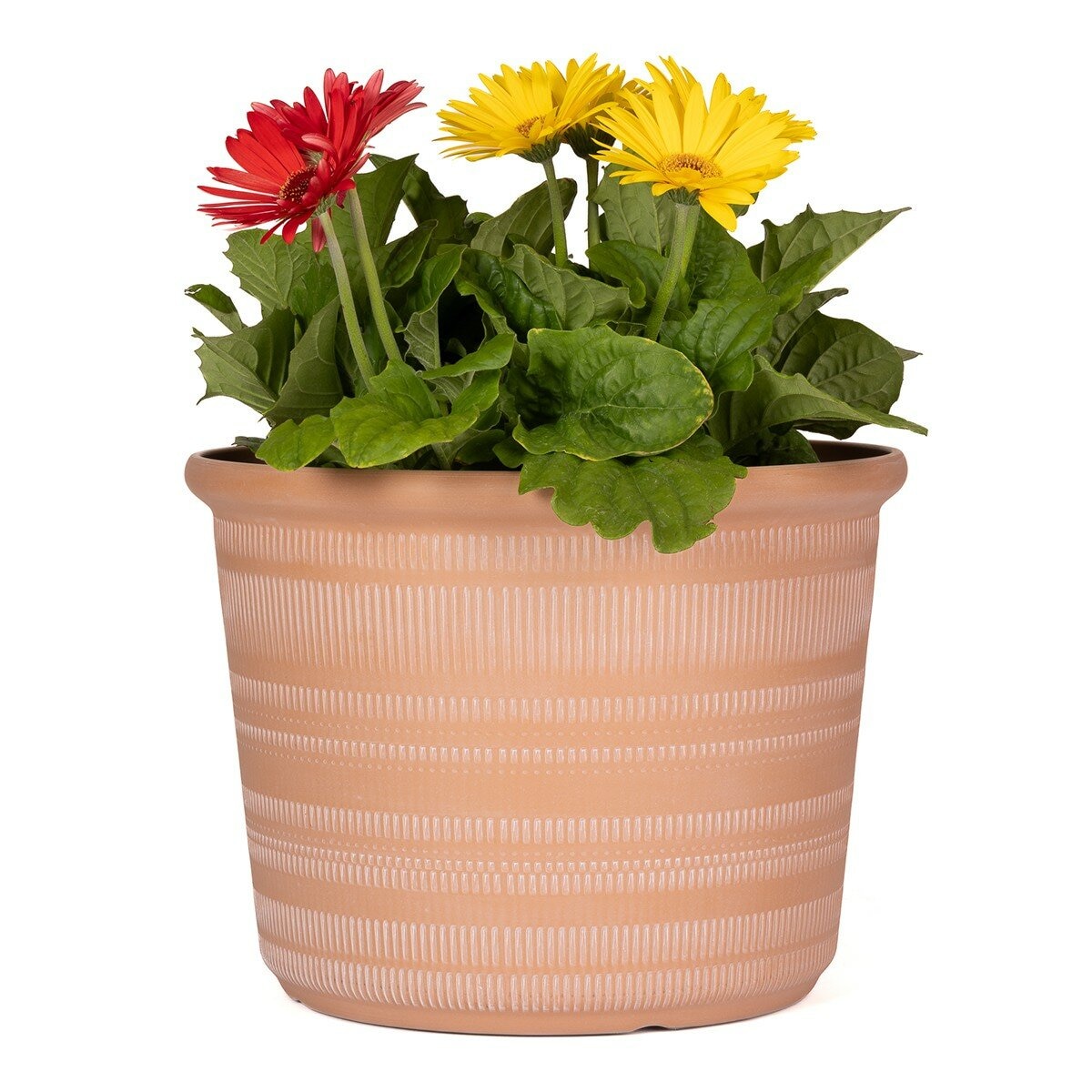 塑膠花盆 3件組 橘色