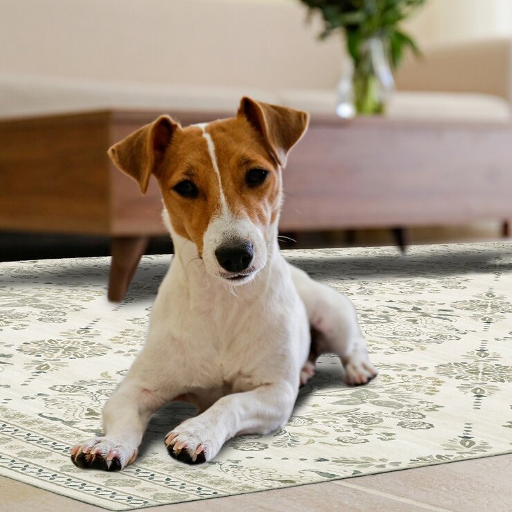 Wyatt & Ash 印花可水洗地毯 2入組 象牙白