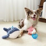 Gigwi 海洋風寵物狗玩具 4入組