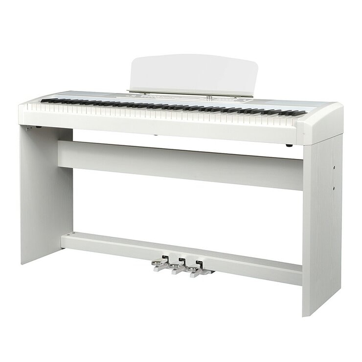 Ringway RP60 數位鋼琴