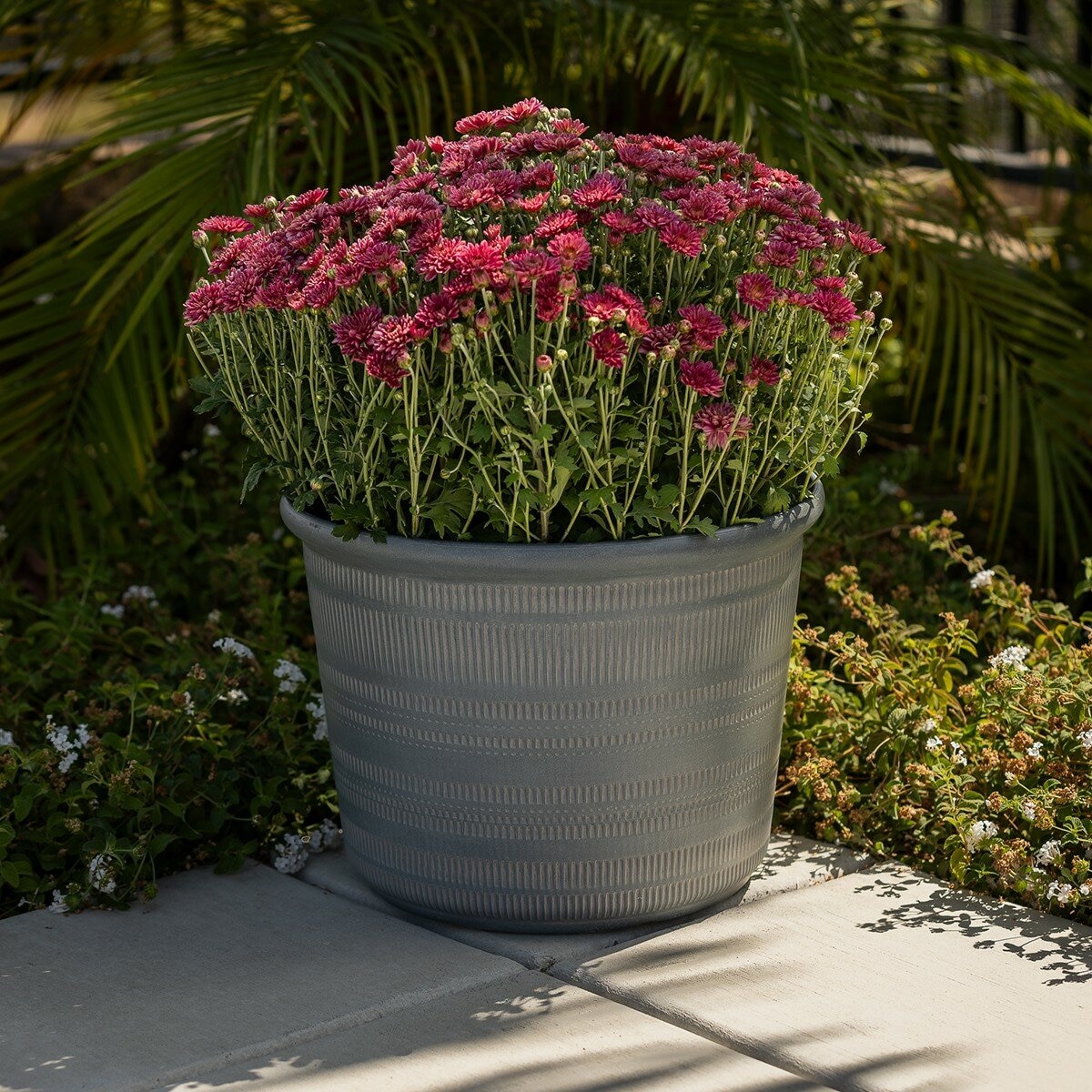 塑膠花盆 3件組 灰色