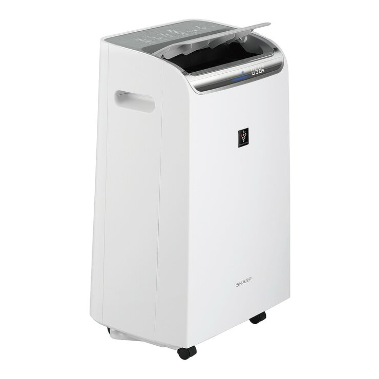 夏普 12 公升 自動除菌離子空氣清淨除濕機 DW-CA12FT-S