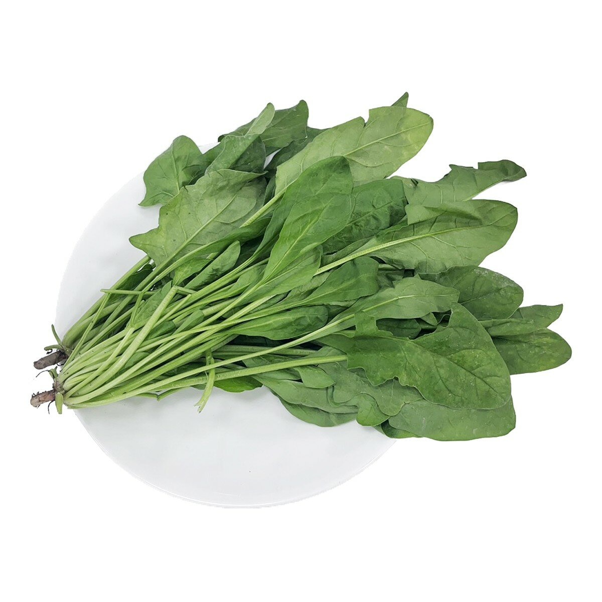 產銷履歷菠菜 600公克