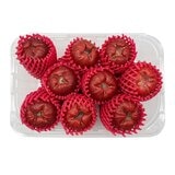 產銷履歷蜜風鈴蓮霧 900公克 產銷履歷蜜風鈴蓮霧 900公克