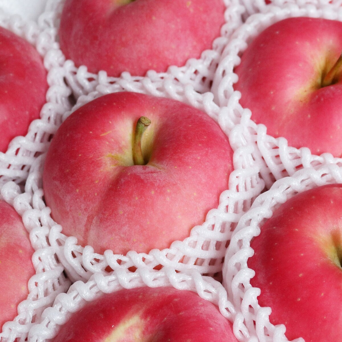 日本慕姿蘋果禮盒 2.4公斤/8-9入