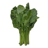 有機山菠菜 500 公克