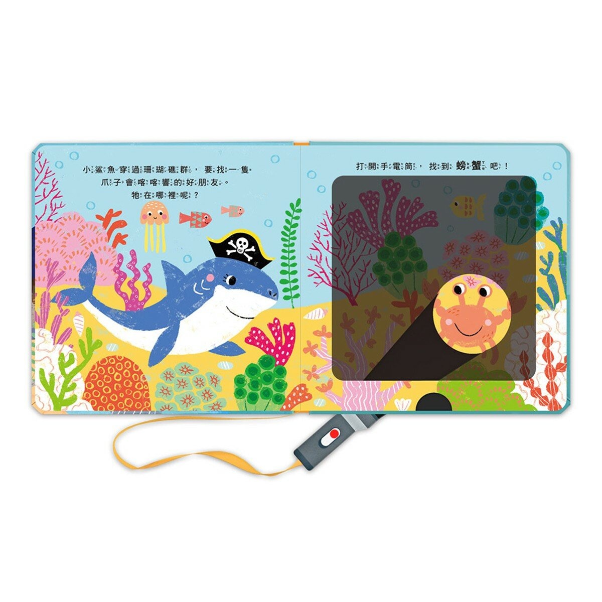 神奇探索互動書(全套4冊)