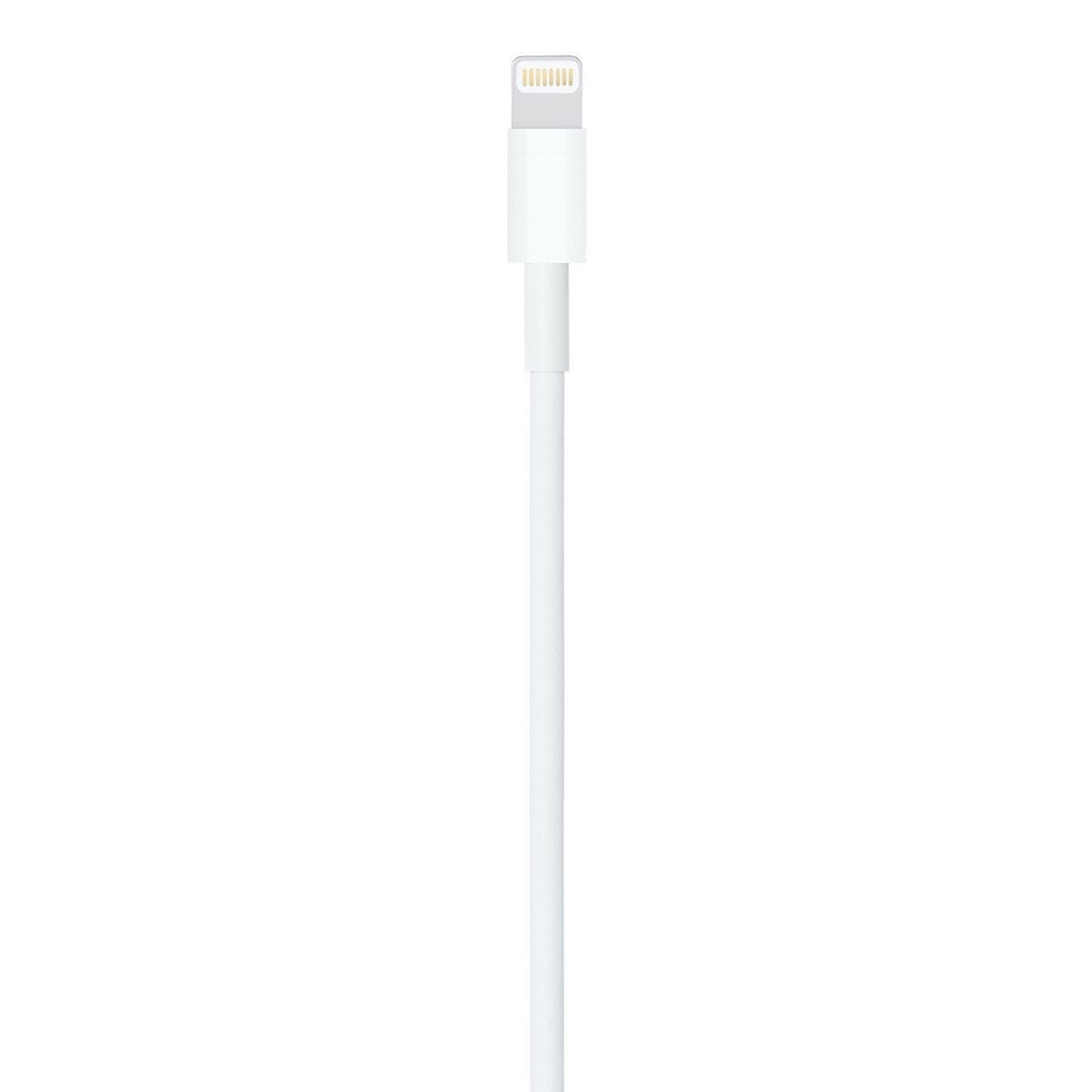 Apple Lightning 對 USB 連接線 1公尺 Apple Lightning 對 USB 連接線 1公尺