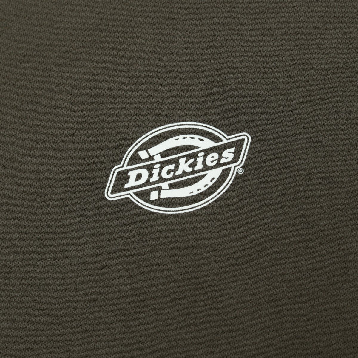 Dickies 男短袖上衣 綠色