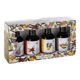 Alcala Oliva 風味特級初榨橄欖油禮盒 250 毫升 X 4 入