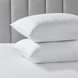 Downlite 科技彈性纖維舒適枕 2入 50公分 X 71公分