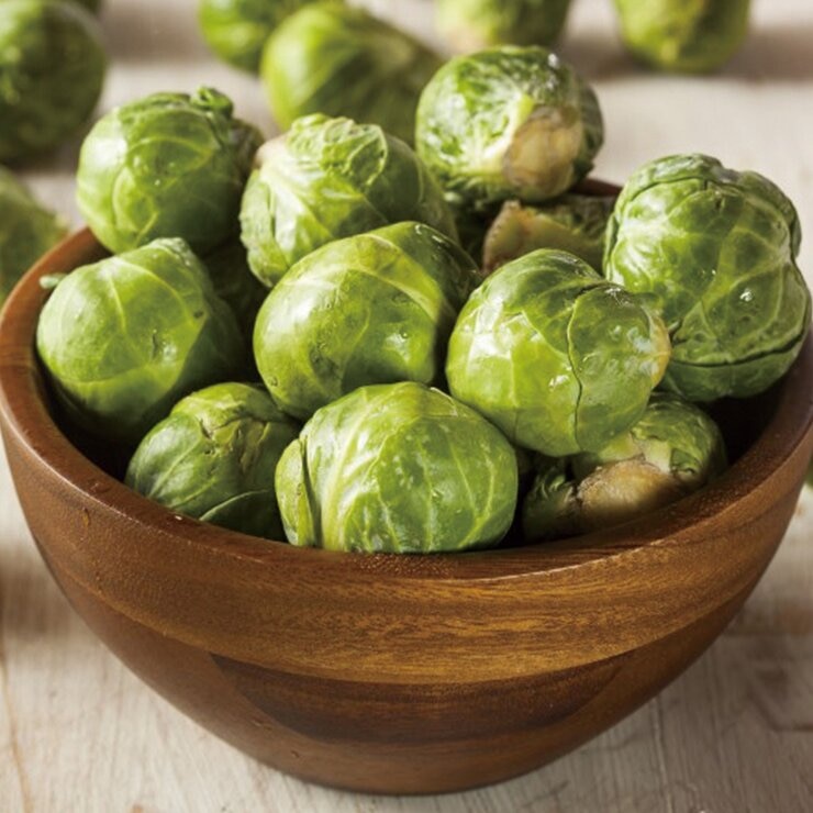 美國球芽甘藍 3公斤