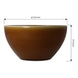 Minoyaki 日本製美濃燒飯碗 4件組 綠色+黃色