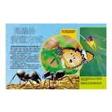 國家地理終極昆蟲百科：史上最完整的昆蟲大全 新版