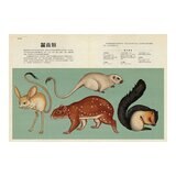 動物博物館