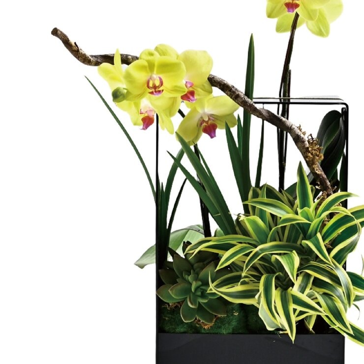 台北花苑 雅逸蘭境 現代極簡花禮