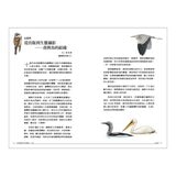 手繪臺灣野鳥新圖鑑（共２冊）：水鳥＋陸鳥