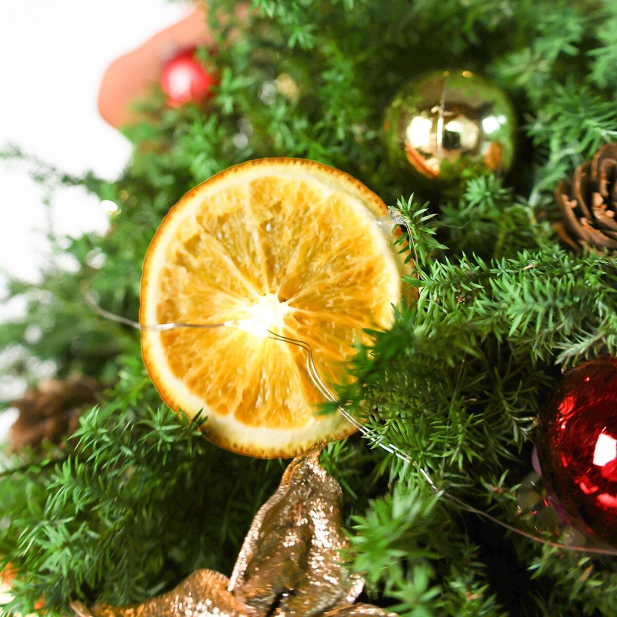 一禮莊園 聖誕禮讚 一禮莊園 聖誕禮讚