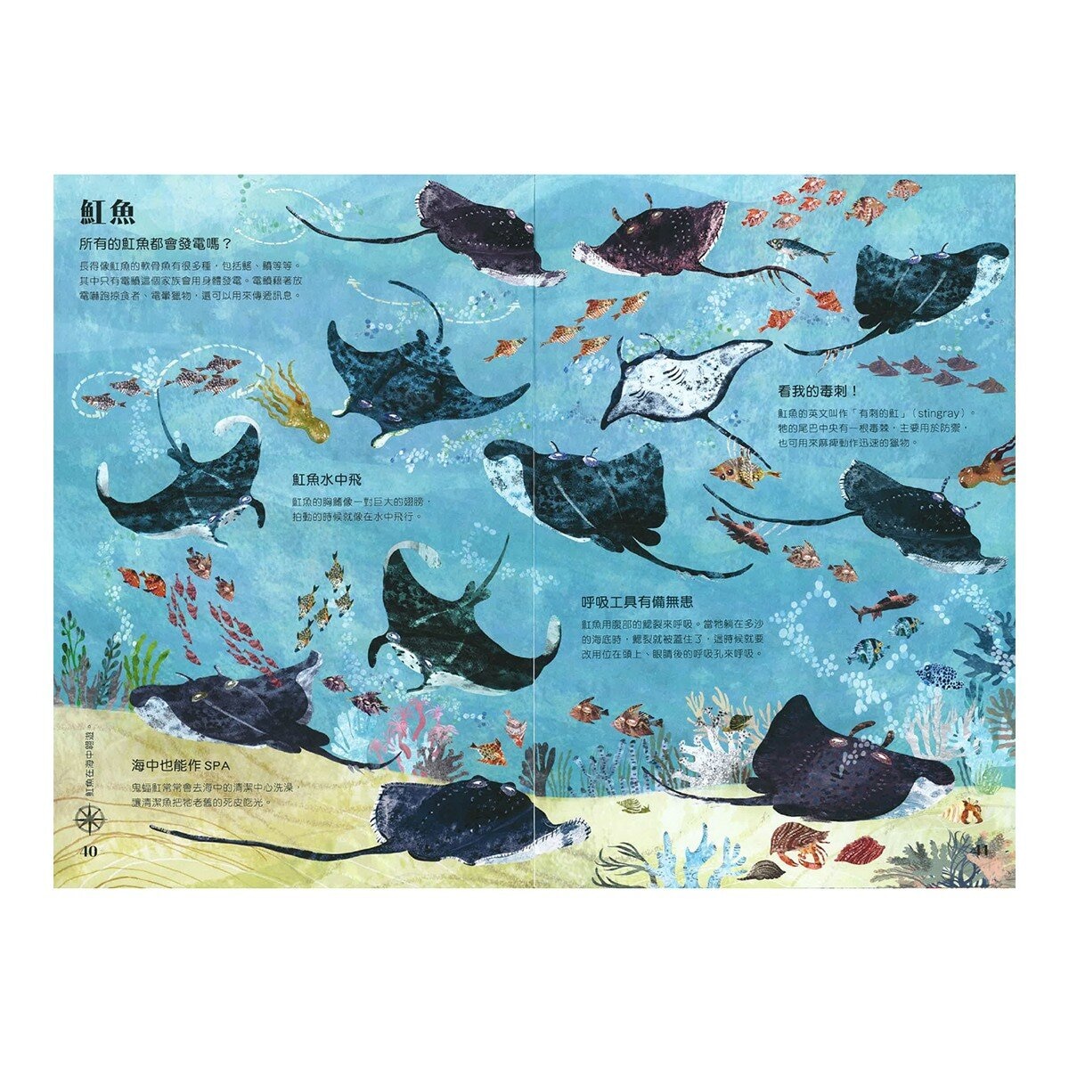 經典科普自然大書:蟲蟲大書+野獸大書+海洋大書