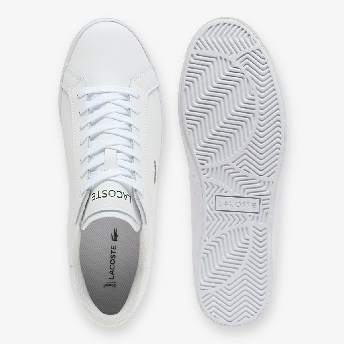 Lacoste 男休閒鞋 白