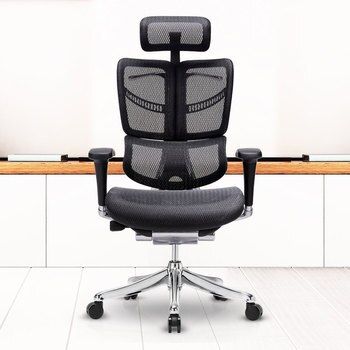 Ergoking全功能動態人體工學椅(含腳凳) Ergoking全功能動態人體工學椅(含腳凳)