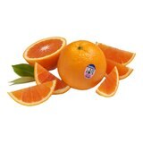 美國香吉士卡拉卡拉橙 2.2公斤