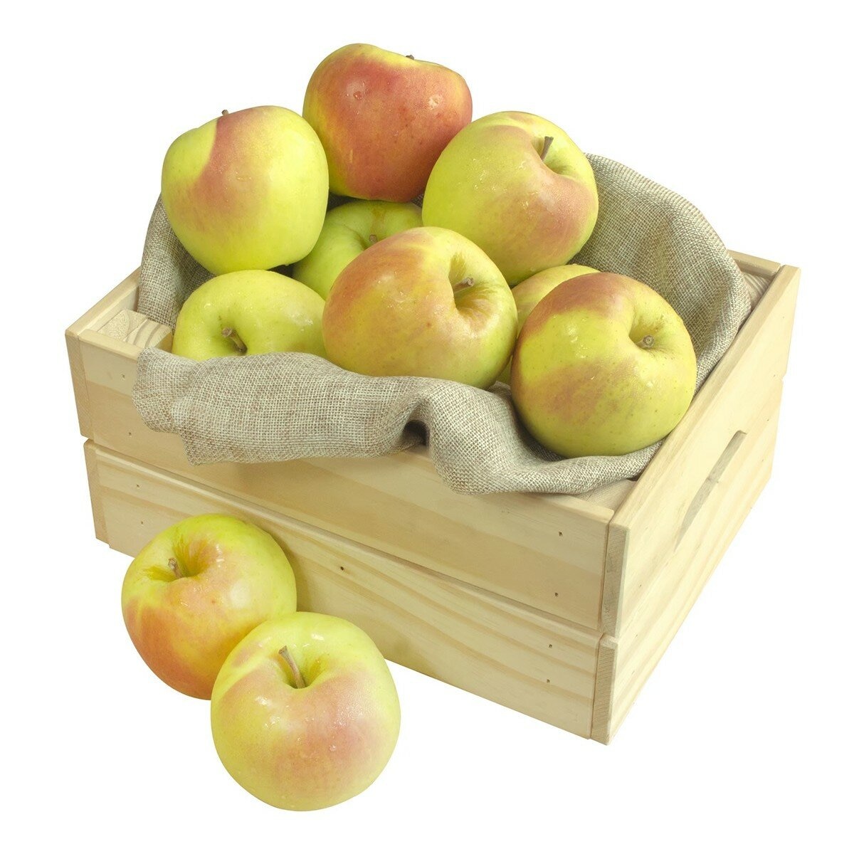 日本青森名月蘋果 2.4公斤 日本青森名月蘋果 2.4公斤