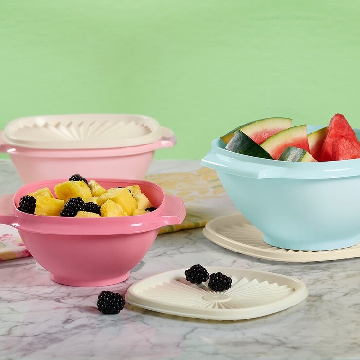 Tupperware 塑膠保鮮盒含蓋 12件組