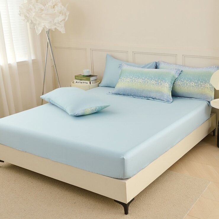 Don Home 萊賽爾雙人兩用被套6件組 星綻