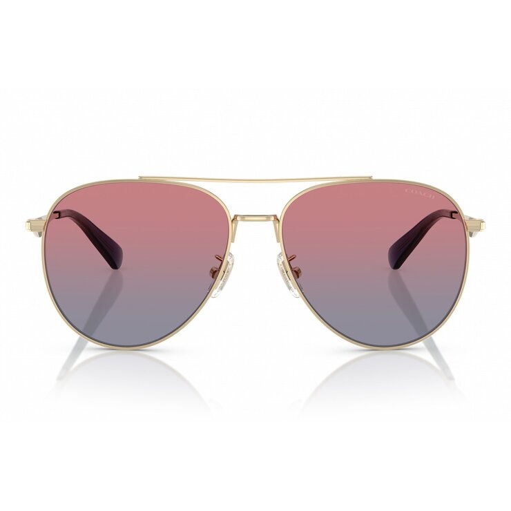 COACH 太陽眼鏡 0HC7169 90050Q 金色