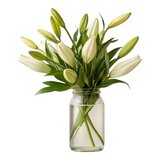 百合花束