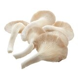 秀珍菇 500公克