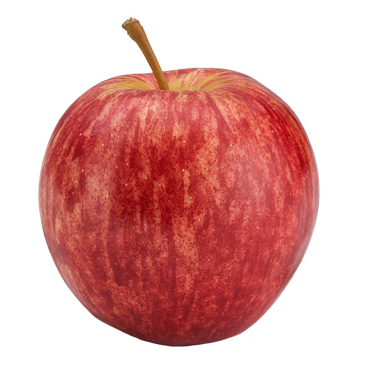 紐西蘭加樂蘋果 2.4公斤