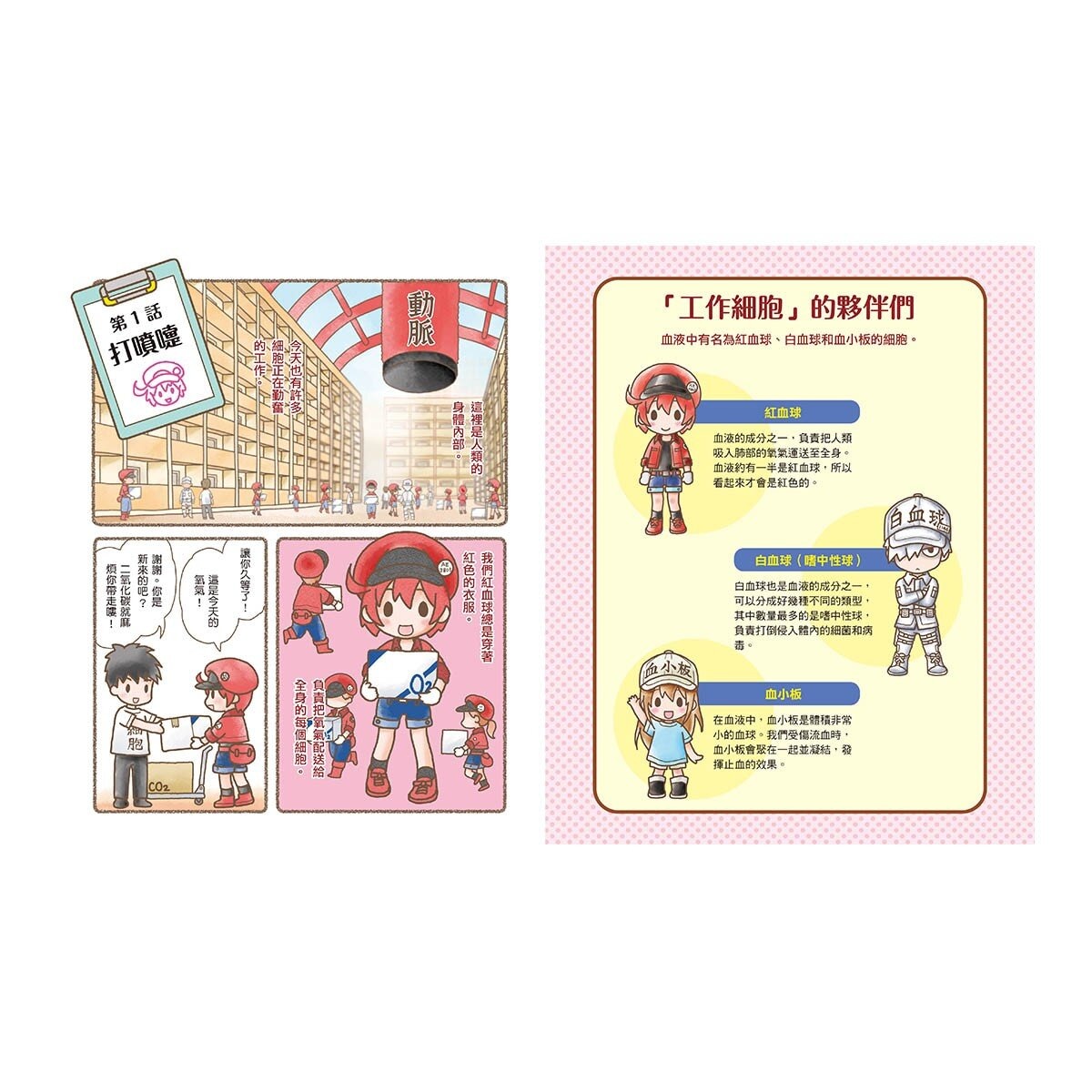 繪本工作細胞集合嘍！1 + 2 套書