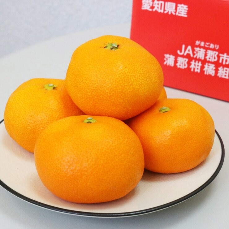日本溫室愛知縣蒲郡蜜柑禮盒 1.2公斤 日本溫室愛知縣蒲郡蜜柑禮盒 1.2公斤