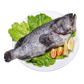 龍虎石斑