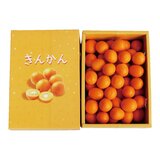 日本金柑禮盒 1公斤