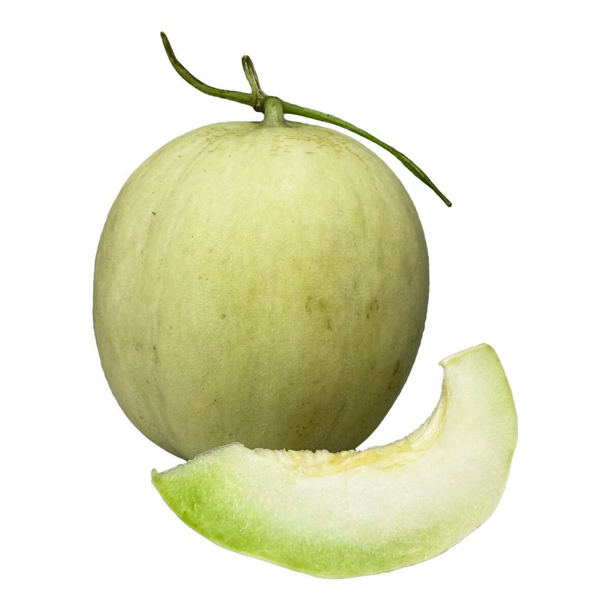 光面哈密瓜 12公斤/7-8入