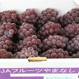 空運日本山梨縣小無籽葡萄禮盒 2公斤