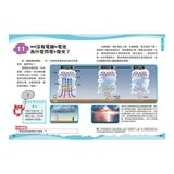 兒童伽利略1-8冊(全套8冊) 動物學校＋恐龍學校＋太陽系學校＋人體學校＋飛機學校＋地球學校＋海洋學校＋天氣學校