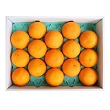 日本愛媛縣紅瑪丹娜禮盒 3公斤 日本愛媛縣紅瑪丹娜禮盒 3公斤