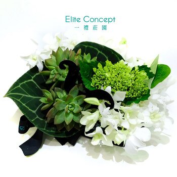 一禮莊園綠色莊園盆花 一禮莊園綠色莊園盆花