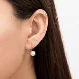 Tokyo Pearl 18K黃K金 7.5公釐 - 8.0公釐 Akoya 珍珠耳環