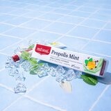 紅印 護齦蜂膠薄荷牙膏 100公克 X 6入